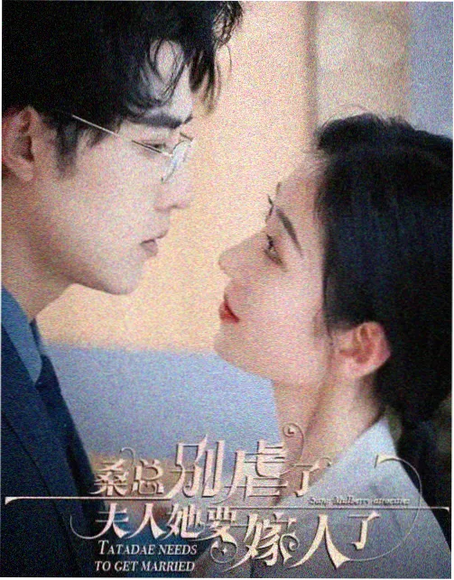 导演专栏推荐
